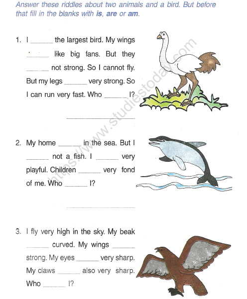 Worksheets